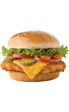 biryani adda (267 x 430 px) 23