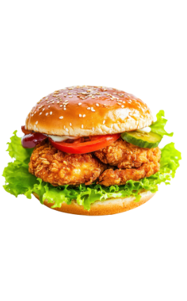 biryani adda (267 x 430 px) 24