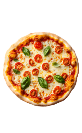 biryani adda (267 x 430 px) 35