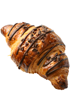 biryani adda (267 x 430 px) 39