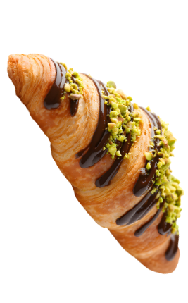 biryani adda (267 x 430 px) 40