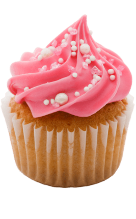 biryani adda (267 x 430 px) 41